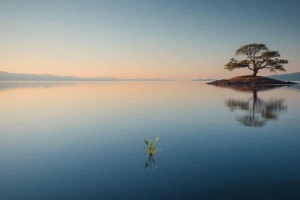 reflection-messages-to-think-and-grow