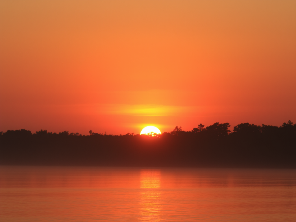 Bom Dia: Frases Inspiradoras Para Começar o Dia