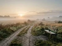 A dirt road surrounded by open fields, with a light mist and the sun rising on the horizon